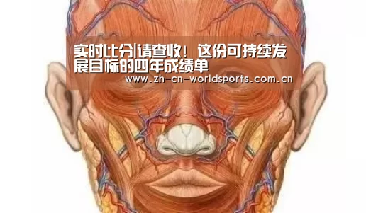 实时比分