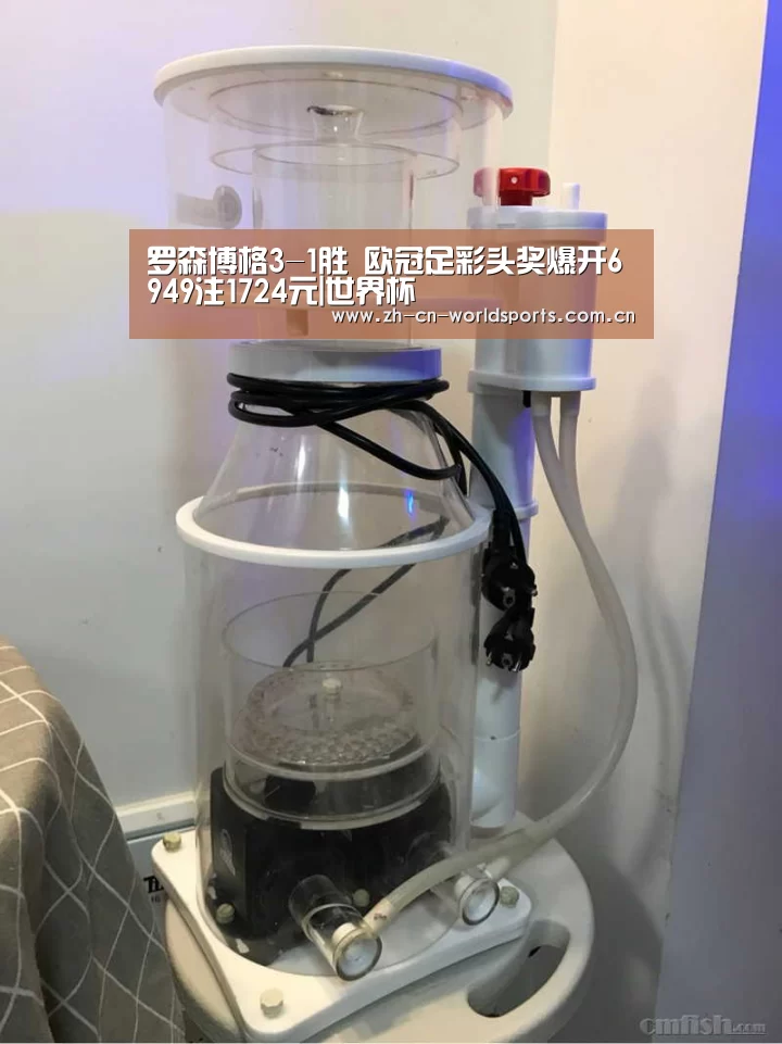 实时比分
